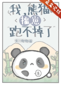 我,熊猫,揣崽跑不掉了免费阅读小说封面